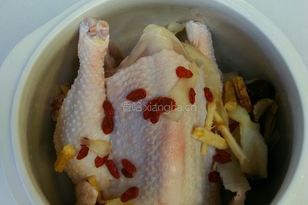 客家清炖鸡的做法图解4