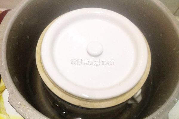 木耳鸽子汤的做法图解7