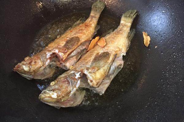 番茄焖石斑鱼块的做法图解4