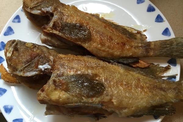 番茄焖石斑鱼块的做法图解6