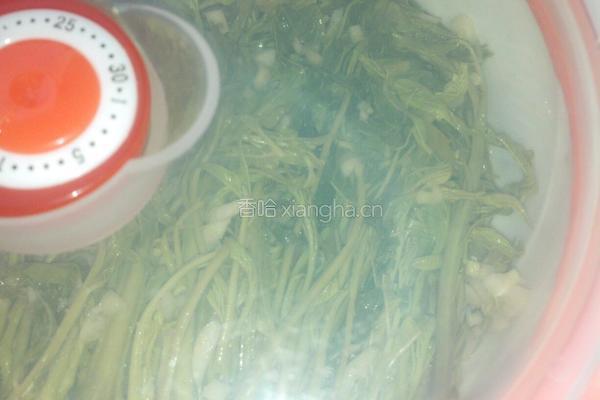 腌制香椿芽的做法图解8