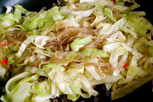 粉丝呛包菜的做法图解6
