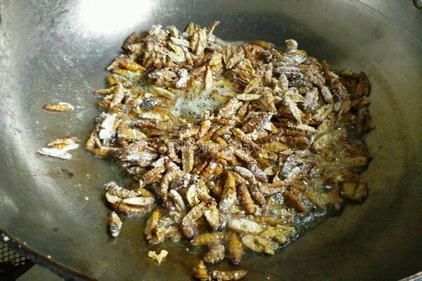 香酥开边蚕蛹的做法图解8
