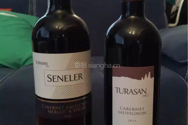 柠檬酒的做法图解3