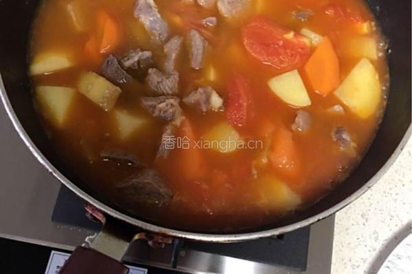 牛腩炖西红柿的做法图解9