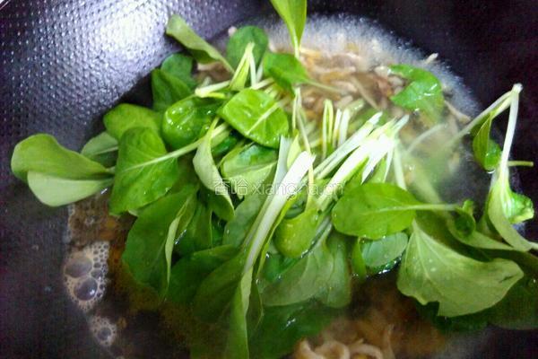 榨菜肉丝汤的做法图解8