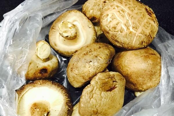 红烧香菇的做法图解1