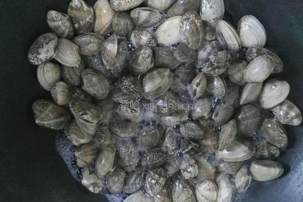 辣炒花蛤蜊的做法图解4