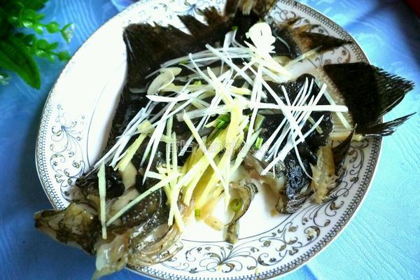 蒸多宝鱼的做法图解8