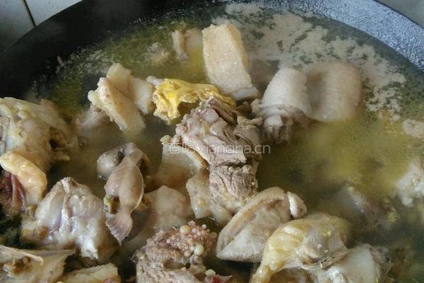香菇炖土鸡的做法图解2