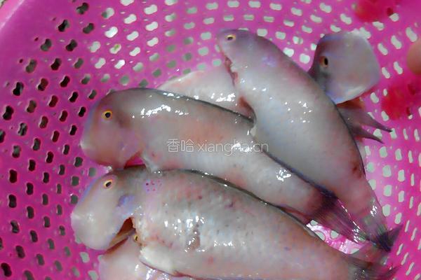 黄金煎鱼的做法图解2