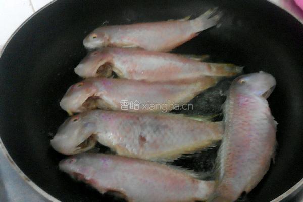 黄金煎鱼的做法图解4