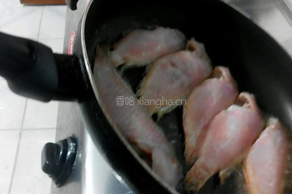 黄金煎鱼的做法图解5