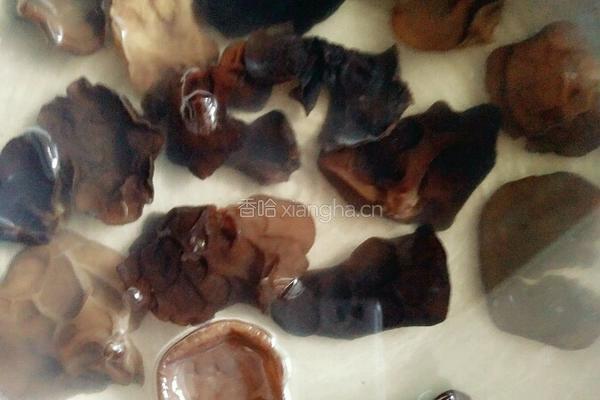 玫瑰花牛肉烧麦的做法图解4