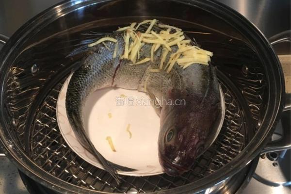 葱油鲈鱼的做法图解4