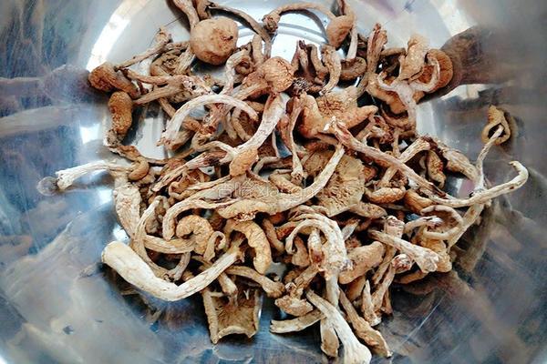 鸡翅炖蘑菇的做法图解1