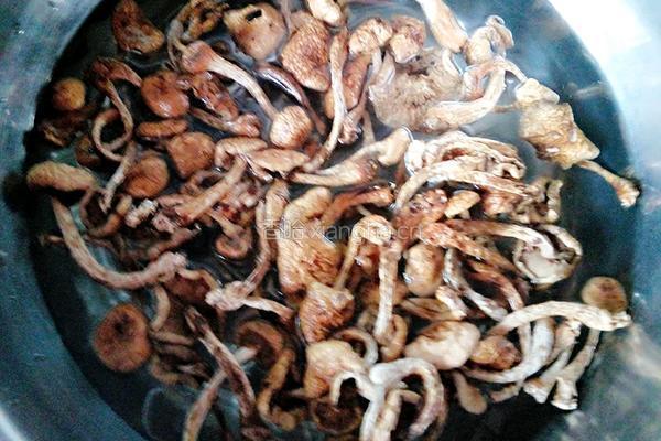 鸡翅炖蘑菇的做法图解2