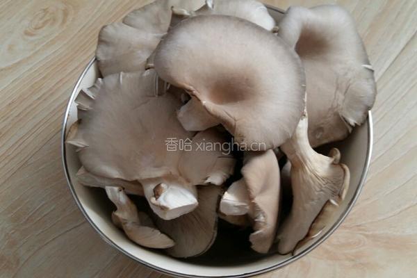 干炸鲜蘑的做法图解1