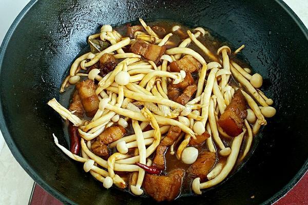 茶树菇烧肉的做法图解10