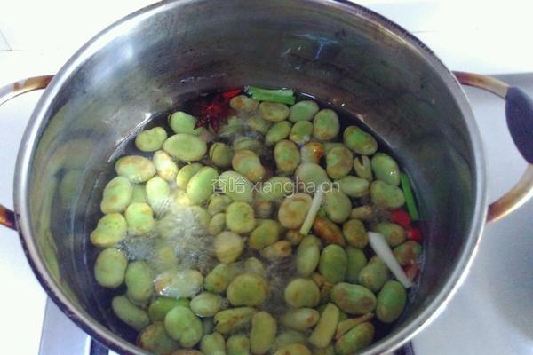 五香水煮蚕豆的做法图解4