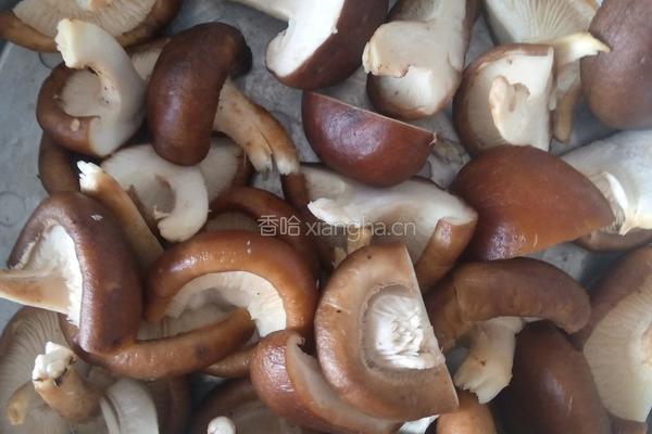 黄焖鸡米饭的做法图解2