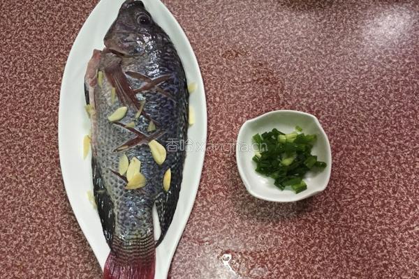 糖醋罗非鱼的做法图解2
