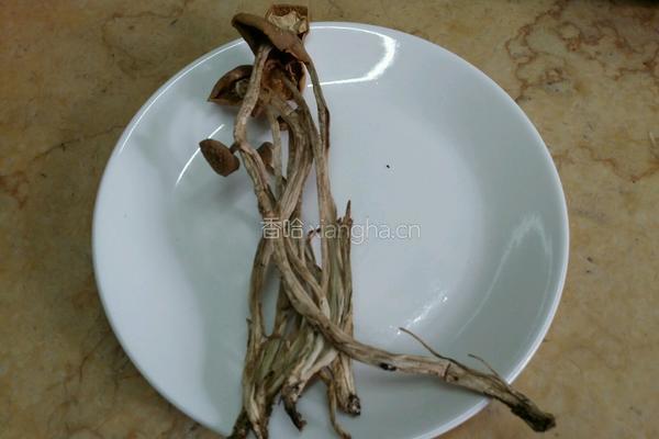 茶树菇炖鸡的做法图解2