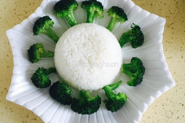 咖喱土豆牛肉的做法图解10