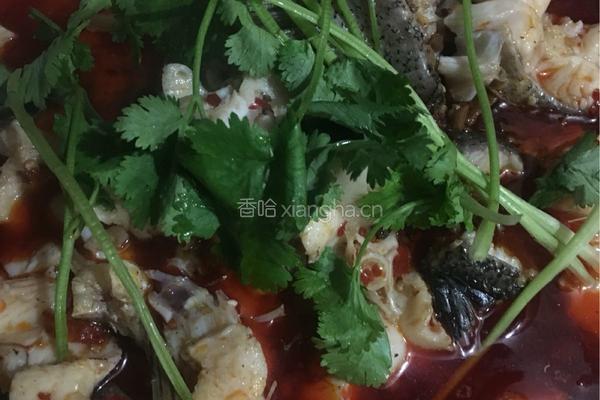 麻辣水煮鱼的做法图解4
