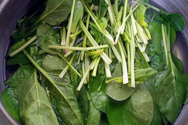 胡萝卜炒菠菜的做法图解3