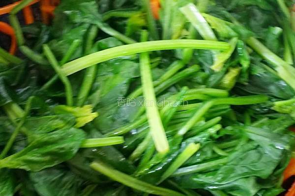 胡萝卜炒菠菜的做法图解6