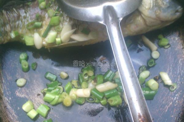 鲫鱼汤的做法图解4