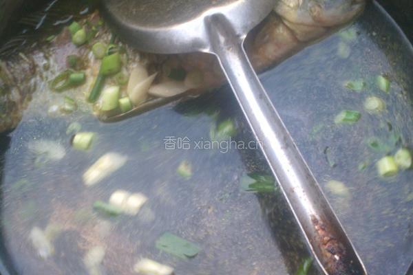 鲫鱼汤的做法图解5