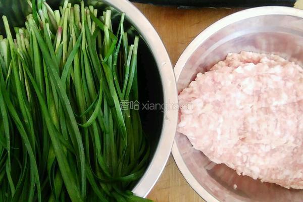 鲅鱼馅饺子的做法图解1