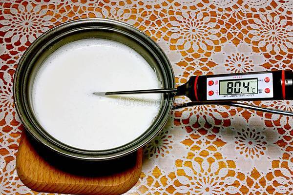 姜撞奶（广东特色甜品）的做法图解4
