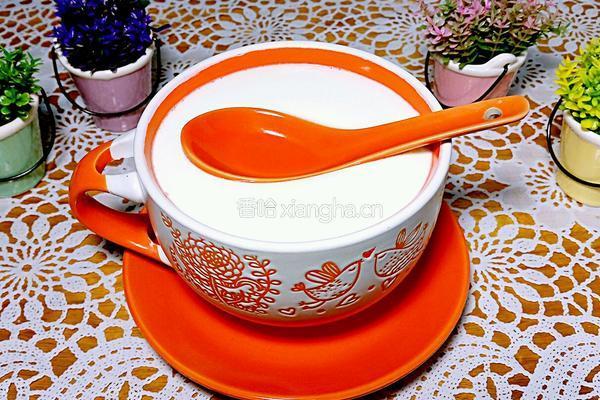 姜撞奶（广东特色甜品）的做法图解7