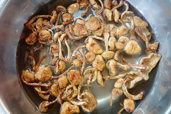 卷心菜炒滑子蘑的做法图解1