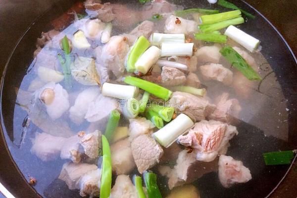 炖牛肉的做法图解4