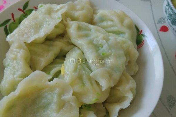西葫芦水饺的做法图解7