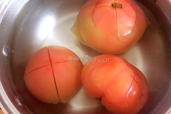 牛肉炖西红柿的做法图解4