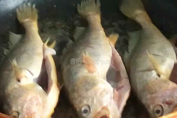 豉香黄花鱼的做法图解2