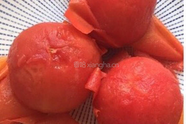 番茄炖牛肉的做法图解2