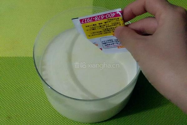 奶粉酸奶的做法图解3