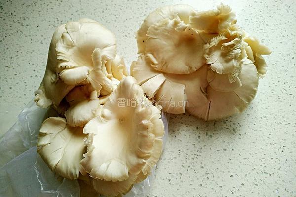 肉炒平菇的做法图解1
