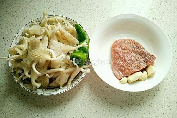 肉炒平菇的做法图解3