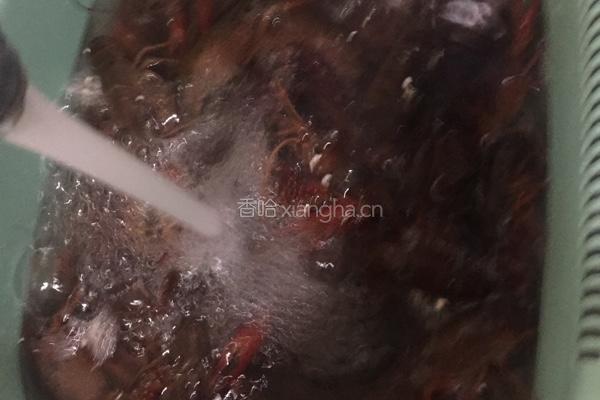 十三香小龙虾的做法图解1