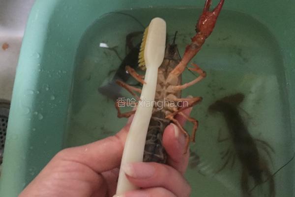 十三香小龙虾的做法图解2