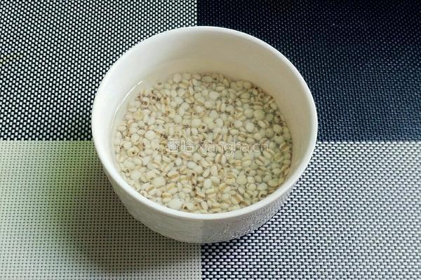 薏米柠檬水的做法图解1
