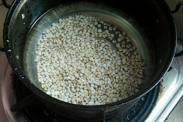 薏米柠檬水的做法图解2