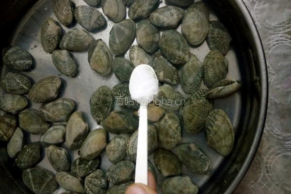 辣炒花蚬子的做法图解1